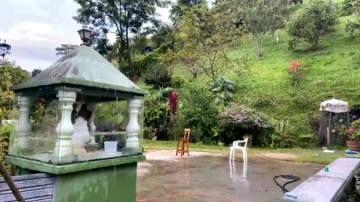 75t  21-11-2021 video lips